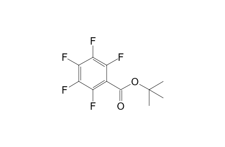 t-Butyl 2,3,4,5,6-pentafluorobenzoate