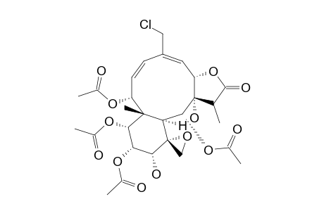 Nui-inoalide B