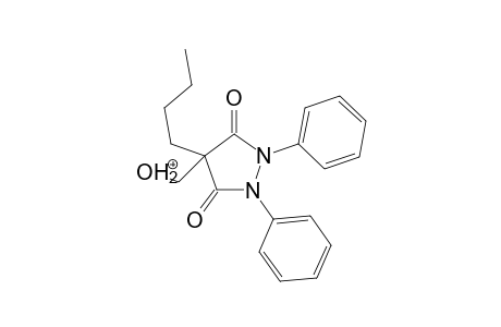 Suxibuzone MS3_1