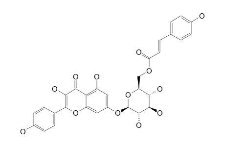 BUDDLENOID-A;KAEMPFEROL-7-BETA-D-(6''-PARA-COUMAROYLGLUCOPYRANOSIDE)