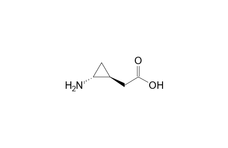 Cyclopropaneacetic acid, 2-amino-, trans-