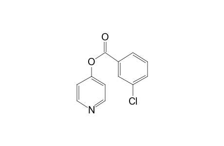 Pyridin-4-yl 3-chlorobenzoate