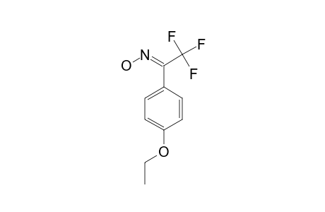 4-(1-HYDROXYLAMINO-2,2,2-TRIFLUOROETHYL)-PHENETOLE