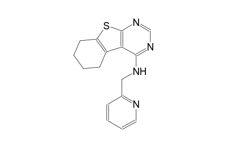 N-(2-pyridinylmethyl)-5,6,7,8-tetrahydro[1]benzothieno[2,3-d]pyrimidin-4-amine