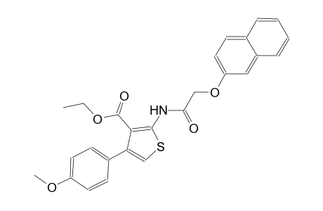 ethyl 4-(4-methoxyphenyl)-2-{[(2-naphthyloxy)acetyl]amino}-3-thiophenecarboxylate