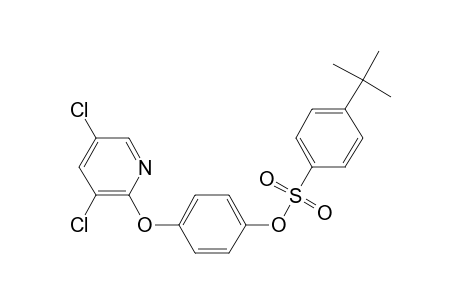 4-tert-Butyl-benzenesulfonic acid 4-(3,5-dichloro-pyridin-2-yloxy)-phenyl ester