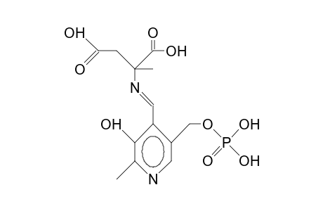 Pyridoxal phosphate A-methyl-L-aspartate aldimine