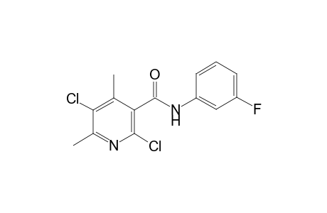 2,5-bis(chloranyl)-N-(3-fluorophenyl)-4,6-dimethyl-pyridine-3-carboxamide