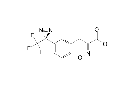 (E)-2-(HYDROXYIMINO)-3-[3-[3-(TRIFLUOROMETHYL)-3H-DIAZIRIN-3-YL]-PHENYL]-PROPANOIC-ACID
