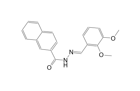 N'-[(E)-(2,3-dimethoxyphenyl)methylidene]-2-naphthohydrazide