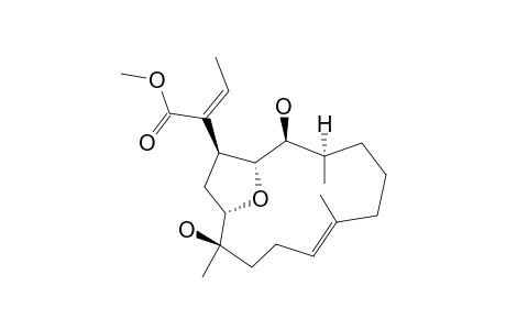 methyl (Z)-2-[(1R,2S,3R,7E,11R,12S,14S)-2,11-dihydroxy-3,7,11-trimethyl-15-oxabicyclo[10.2.1]pentadec-7-en-14-yl]but-2-enoate