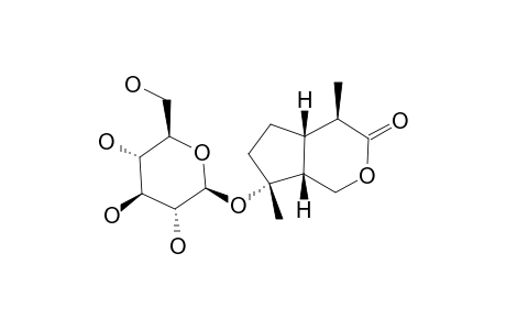 PATRIRIDOSIDE_E;(4-R,5-S,8-R,9-R)-8-HYDROXY-4,8-DIMETHYLHEXAHYDROCYCLOPENTA-[C]-PYRAN-3-(1-H)-ONE-8-O-BETA-D-GLUCOPYRANOSIDE