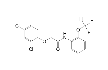 2-(2,4-dichlorophenoxy)-N-[2-(difluoromethoxy)phenyl]acetamide