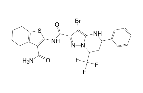 N-[3-(aminocarbonyl)-4,5,6,7-tetrahydro-1-benzothien-2-yl]-3-bromo-5-phenyl-7-(trifluoromethyl)-4,5,6,7-tetrahydropyrazolo[1,5-a]pyrimidine-2-carboxamide