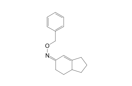 Bicyclo[4.3.0]nonen-2-benzyloxime
