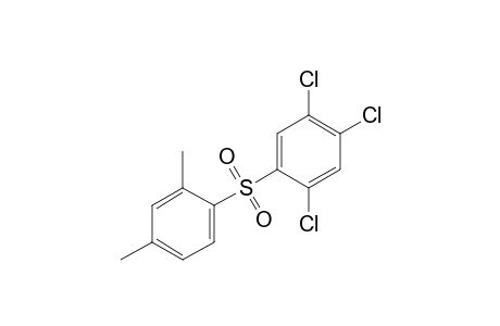 2,4,5-TRICHLOROPHENYL 2,4-XYLYL SULFONE