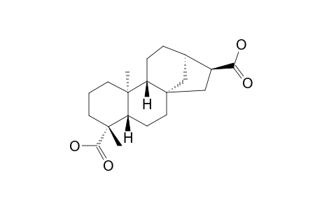 16alpha-Hydro-ent-kauran-17,19-dioic acid