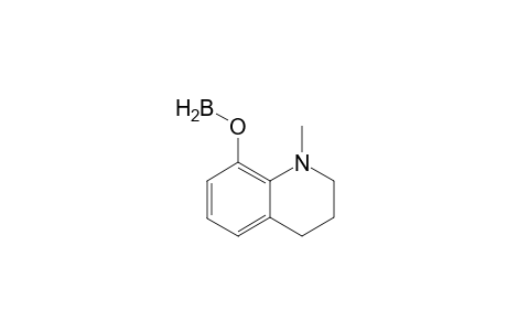 8-Quinolinol, 1,2,3,4-tetrahydro-1-methyl-, boron complex