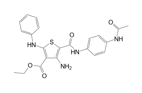 Ethyl 5-((4-acetamidophenyl)carbamoyl)-4-amino-2-(phenylamino)thiophene-3-carboxylate