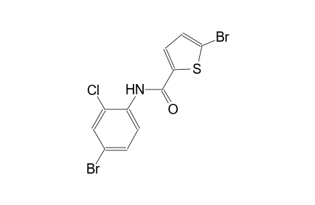 5-bromo-N-(4-bromo-2-chlorophenyl)-2-thiophenecarboxamide