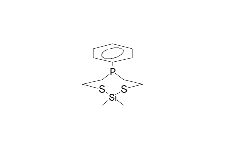 2,2-DIMETHYL-6-PHENYL-1,3,6,2-DITHIAPHOSPHASILACYCLOOCTANE
