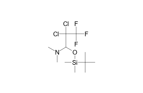 1-[tert-butyl(dimethyl)silyl]oxy-2,2-bis(chloranyl)-3,3,3-tris(fluoranyl)-N,N-dimethyl-propan-1-amine