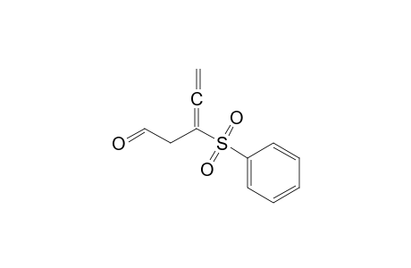3-(Phenylsulfonyl)penta-3,4-dien-1-al
