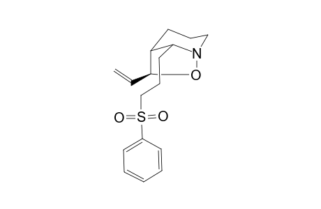 (5R*,6S*,8R*)-and (5R*,6R*,8R*)-8-[3-Phenylsulfonylpropyl]-6-vinyl-7-oxa-1-azabicyclo[3.2.1]octane