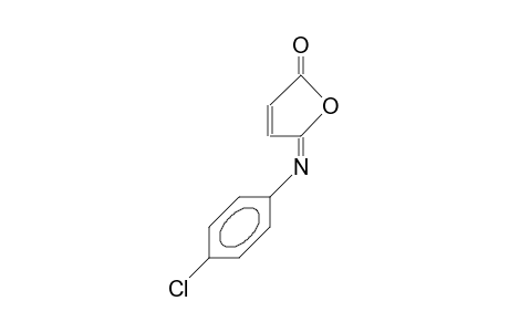 syn-N-Para-chlorophenyl-maleisoimide