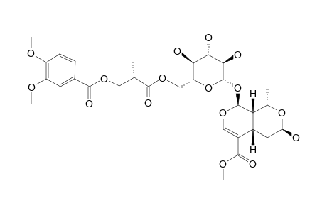 6'-O-[(2R)-METHYL-3-VERATROYLOXYPROPANOYL]-MORRONISIDE;[7-BETA-OH]
