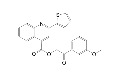 4-quinolinecarboxylic acid, 2-(2-thienyl)-, 2-(3-methoxyphenyl)-2-oxoethyl ester