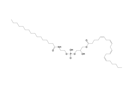 LNAPE 20:4/N-16:0