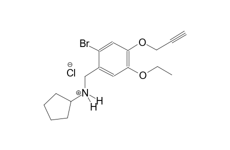 N-[2-bromo-5-ethoxy-4-(2-propynyloxy)benzyl]cyclopentanaminium chloride