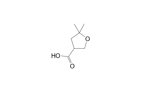 3-Furancarboxylic acid, tetrahydro-5,5-dimethyl-