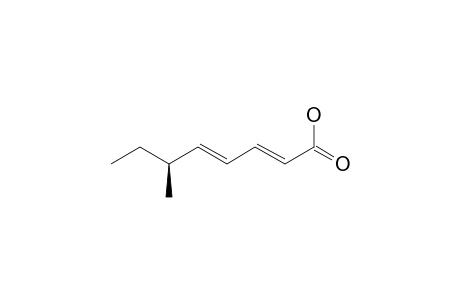 DENDRYPHIELLIC-ACID-A;(6S,2E,4E)-6-METHYLOCTA-2,4-DIENOIC-ACID