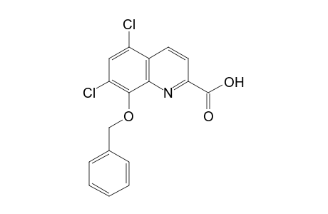 8-(BENZYLOXY)-5,7-DICHLOROQUINALDIC ACID