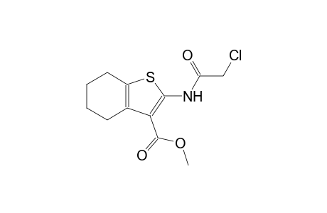 methyl 2-[(chloroacetyl)amino]-4,5,6,7-tetrahydro-1-benzothiophene-3-carboxylate