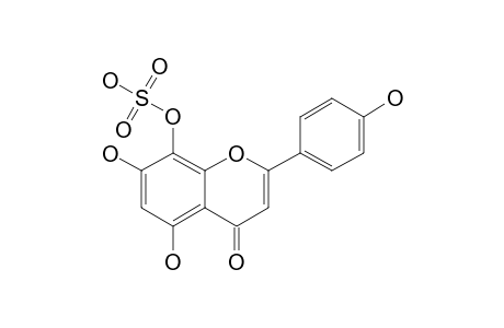 YANNIN;8-O-SULPHATE-ISOSCUTELLAREIN