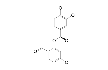 CAESALPINIAPHENOL_D;1-[(7-S)-7-HYDROXY-1'-(3',4'-DIHYDROXYPHENYL)-METHANOL]-3-HYDROXYBENZALDEHYDE