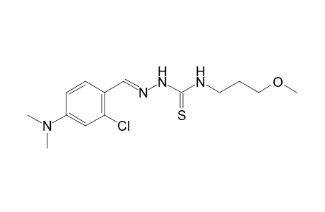 1-[2-chloro-4-(dimethylamino)benzylidene]-4-(3-methoxypropyl)-3-thiosemicarbazide