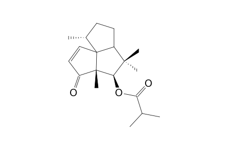 5.beta.-Isobutyryloxysilphinen-3-one