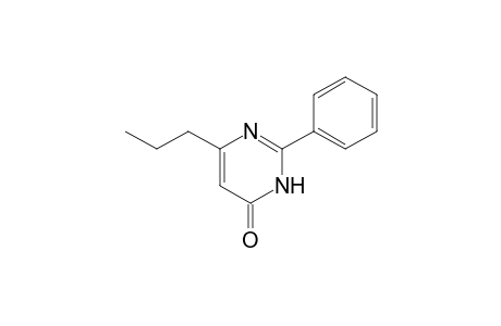 6-Propyl-2-phenylpyrimidin-4(3H)-one