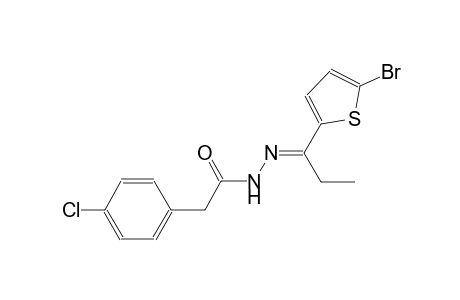 N'-[(E)-1-(5-bromo-2-thienyl)propylidene]-2-(4-chlorophenyl)acetohydrazide