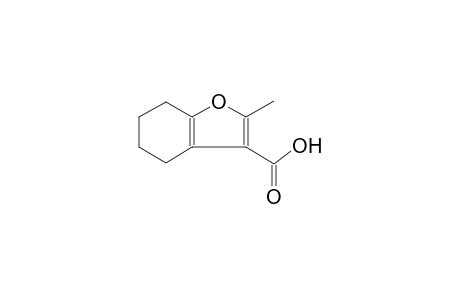 3-benzofurancarboxylic acid, 4,5,6,7-tetrahydro-2-methyl-
