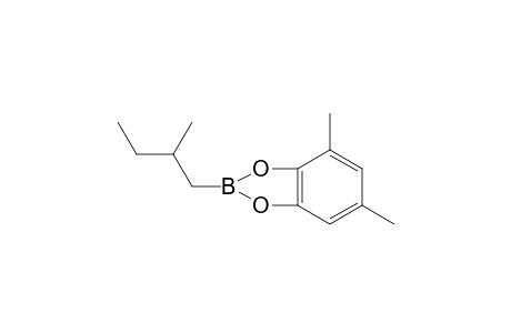 1-[(3',5'-Dimethylphenylene)boronyl]-2-methylbutane