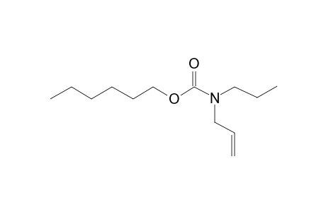 Carbamic acid, N-allyl-N-propyl-, hexyl ester