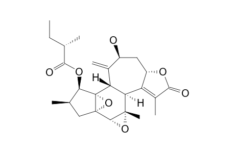 CROTOCASCARIN-BETA