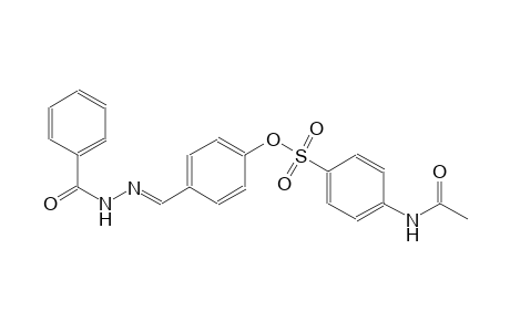 4-[(E)-(2-benzoylhydrazono)methyl]phenyl 4-(acetylamino)benzenesulfonate