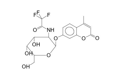 4-METHYLUMBELLIFERYL 2-TRIFLUOROACETAMIDO-3,4,6-TRI-O-ACETYL-2-DEOXY-ALPHA-D-GALACTOPYRANOSIDE