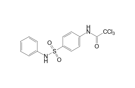 4'-(phenylsulfamoyl)-2,2,2-trichloroacetanilide